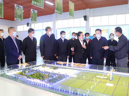 省委副書(shū)記、省長(zhǎng)周乃翔到新綠洲公司調(diào)研指導(dǎo)工作